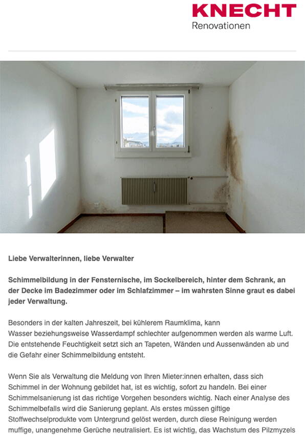 1b_knecht_renovationen_newsletter_subpage-medien_marz2023-1364_596x850px.jpg